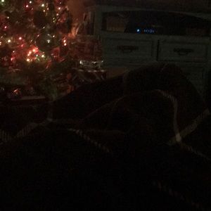 Meet your Posher, Janet